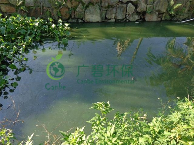城市河道汙染原因及治理措施（shī）  (圖（tú）3)