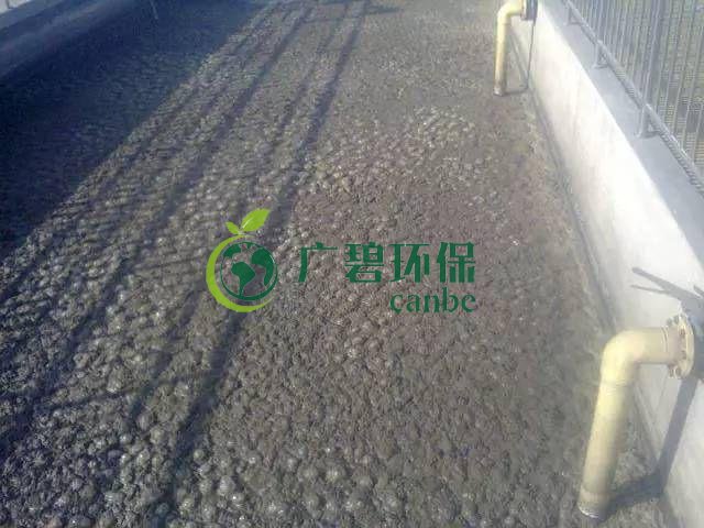 汙泥發黑（hēi）是（shì）什麽原因造成？汙泥發黑經驗分享(圖1)