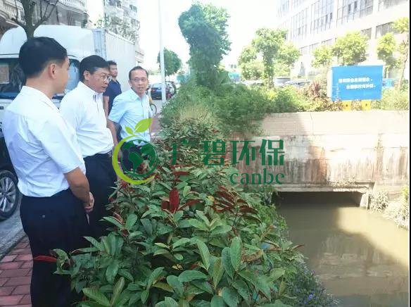 佛山市生態環境（jìng）局（jú）長楊永泰視察（chá）高明黑臭水體圍拳湧整治工作(圖（tú）2)