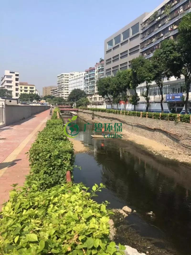 廣州白雲區（qū）棠景沙湧已完成雨汙分流(圖2)