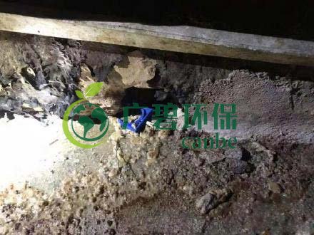 廣州（zhōu）旺（wàng）旺食品（pǐn）廢水直排（pái），永和河大量魚類死亡(圖4)