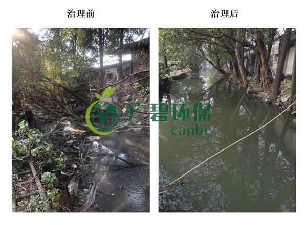 廣碧環保金陡湧河湧（yǒng）黑臭水體 治理服務項目（mù）順利通過驗（yàn）收(圖4)