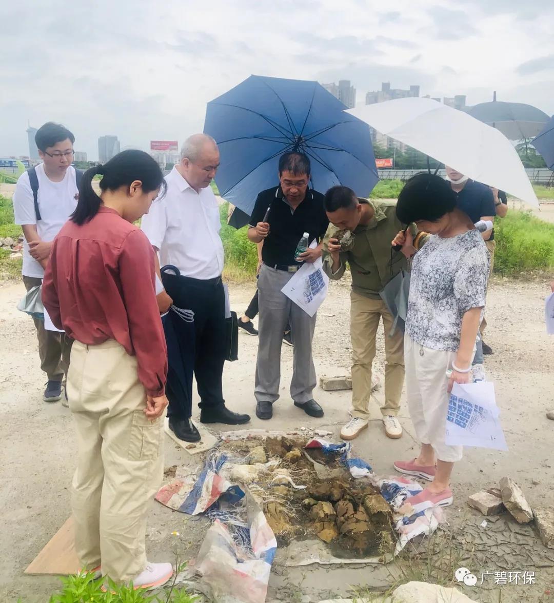 廣碧環（huán）保於樂從小布村（cūn）兩個地塊土壤調查項目（mù）順利通過專家評審會(圖2)