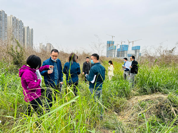 樂從小布村原鋼鐵市場一地塊（kuài）通過專家評審